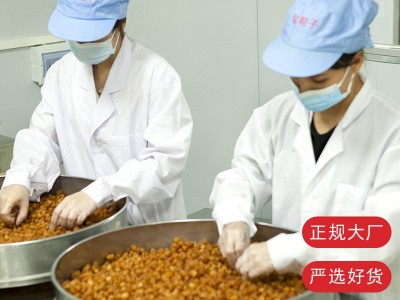 博白桂圆肉200g广西特产无核桂圆肉厂家直供批发代发个性化制作图4
