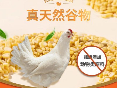 圣迪乐村谷物蛋30枚新鲜鸡蛋整箱可生食无菌蛋鸡蛋礼盒顺丰包邮图4