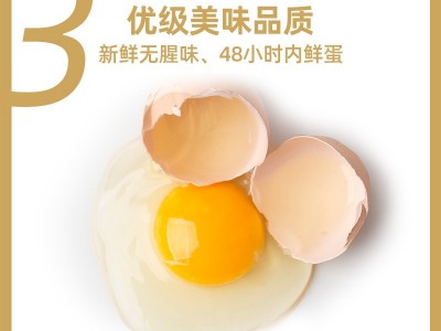 圣迪乐村山春牧场40枚好食蛋 无腥味无菌蛋无抗无菌新鲜鸡蛋顺丰图5