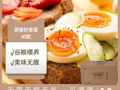 圣迪乐村山春牧场40枚好食蛋 无腥味无菌蛋无抗无菌新鲜鸡蛋顺丰图3