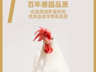 圣迪乐村山春牧场40枚好食蛋 无腥味无菌蛋无抗无菌新鲜鸡蛋顺丰图2