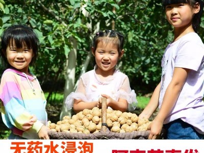 今年新货薄如纸皮核桃实惠散装生原味阿克苏185仁白孕妇成人图4