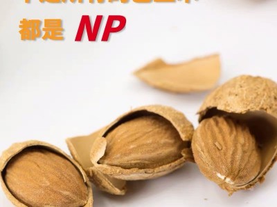 新疆特产巴旦木原味坚果散装500g包邮巴达姆手剥无添加孕妇零食图5