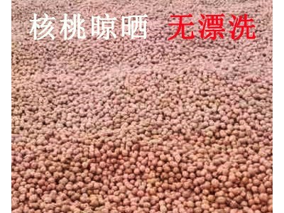 新疆特产批发185纸皮核桃 晾晒无漂白原味核桃干果原料薄皮核桃图2