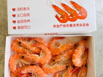 盐田香虾盐田熟虾南美白对虾海虾对虾大虾盐田大虾白灼虾图4