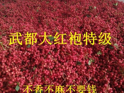 新货花椒甘肃陇南大红袍花椒500g火锅餐饮调味品散装武都产地直销图5