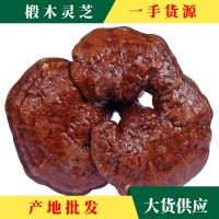 批发代发干灵芝大别山基地直供椴木灵芝片蒸赤灵芝中药材规格齐全
