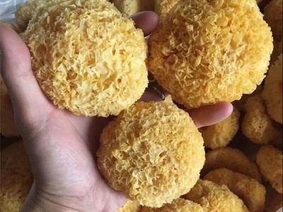 古田银耳干货250g袋批发白木耳丑耳农产品食用菌南北干货厂家批发图2