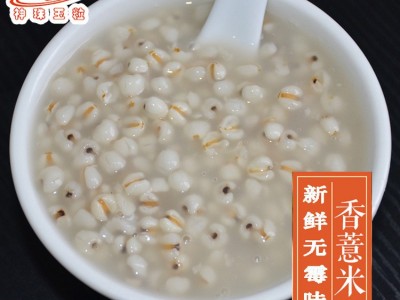 厂家薏米大量批发糯性福建薏米仁精选浦城薏米产地货源新货图3