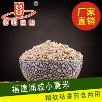 厂家薏米大量批发糯性福建薏米仁精选浦城薏米产地货源新货
