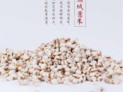 厂家薏米大量批发糯性福建薏米仁精选浦城薏米产地货源新货图4