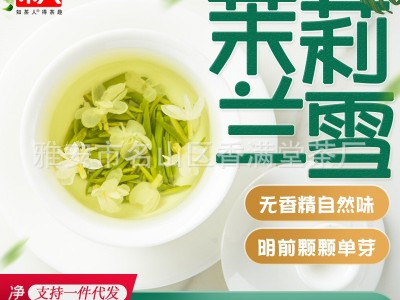 知茶人2023新茶兰雪茉莉毛尖花茶全芽银针大白毫浓香型飘雪500g图2