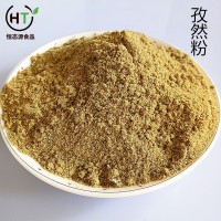 供应孜然粉 烧烤调味料 香辛料批发