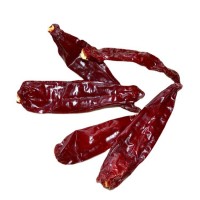 厂家销售 新疆甜椒 品质保证 现货销售 新疆辣椒 去把统货1000g