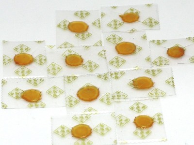 人参蜜片50g长白山鲜参蜜片红参蜜片源头工厂供应抖音快手微商图5
