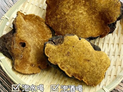 西藏桑黄 产地直供 网红 抖音直播同款 散装桑黄 可切块 桑黄批发图3