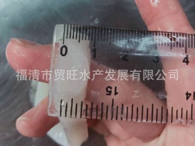 鱿鱼圈厂家批发10kg/件图4