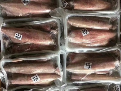 福建东山小管 带籽小管 活冻鱿鱼 海鲜冷冻水产 食用农产品图3
