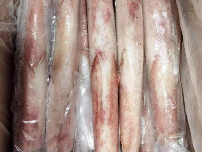 福建东山 船冻大管 火箭鱿鱼 枪鱿鱼 海鲜冷冻水产 食用农产品图4