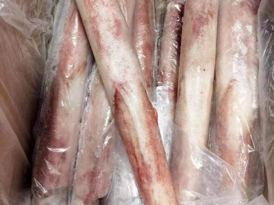 福建东山 船冻大管 火箭鱿鱼 枪鱿鱼 海鲜冷冻水产 食用农产品图3