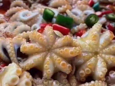 福建东山岛 小八爪鱼 小章鱼 海鲜冷冻水产批发 食用农产品图3