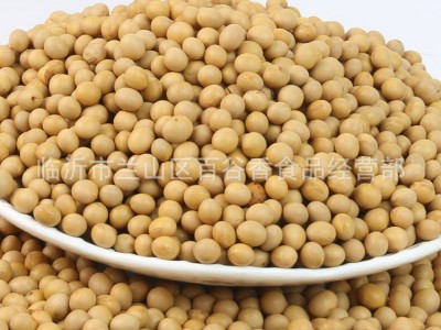 厂家直批低温烘焙熟黄豆磨粉现磨豆浆大豆五谷杂粮批发原料加工图4