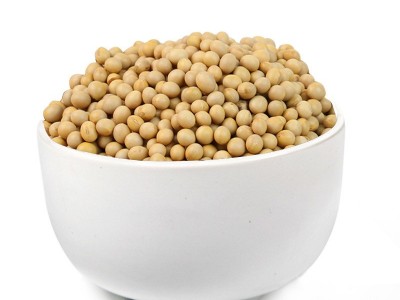 厂家直批低温烘焙熟黄豆磨粉现磨豆浆大豆五谷杂粮批发原料加工图5