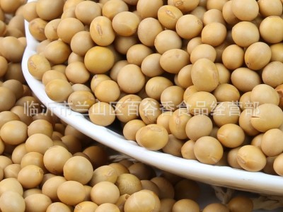 厂家直批低温烘焙熟黄豆磨粉现磨豆浆大豆五谷杂粮批发原料加工图3