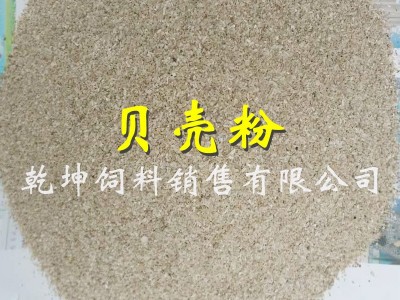 厂家直销 饲料级贝壳粉 蛋鸡鸭鸽子用 细粒海贝壳 钙 添加剂图2