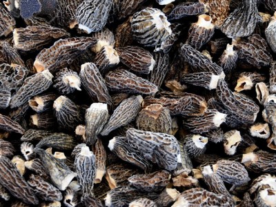 兴农产品干羊肚菌 散装 云南羊肚菌 菌菇 干货山珍黑羊肚菌图4