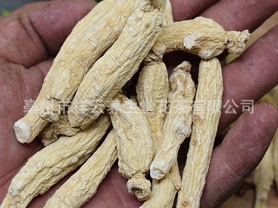 供应批发人参 东北长白山人参干白参散装每支6克左右光生晒参50克图2