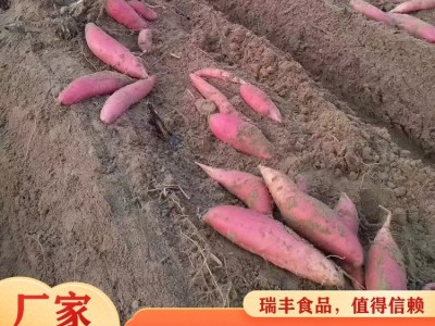 瑞丰 无任何添加剂 现挖发货 营养美味 烟薯西瓜红 红薯图4
