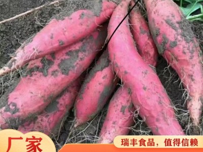 瑞丰 无任何添加剂 现挖发货 营养美味 烟薯西瓜红 红薯图5