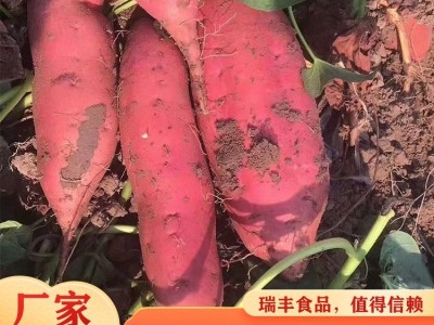 瑞丰 无任何添加剂 现挖发货 营养美味 烟薯西瓜红 红薯图3