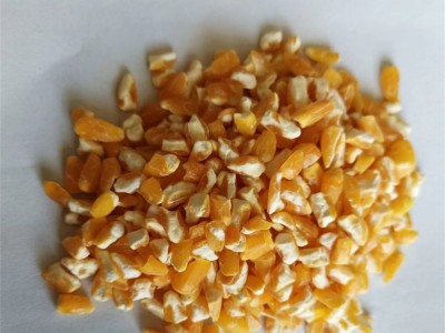 大碴子 食品专用 碴子粥 可加工成粉做膨化食品 正裕米业图4