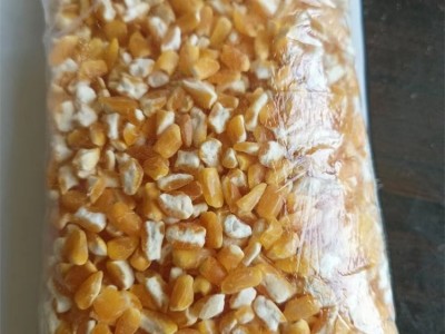 大碴子 食品专用 碴子粥 可加工成粉做膨化食品 正裕米业图5