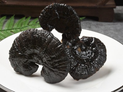 长白山黑灵芝 非种植灵芝整枝可切片 赤灵芝散装大货量大从图3