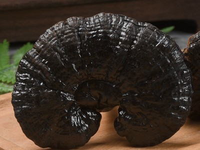 长白山黑灵芝 非种植灵芝整枝可切片 赤灵芝散装大货量大从图2