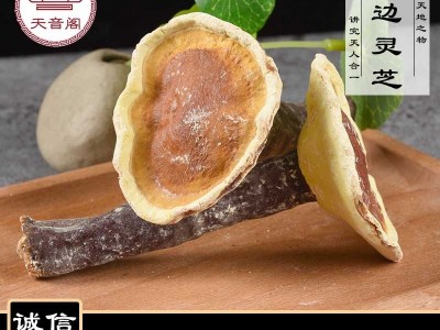 中药材批发零售金边灵芝新货紫灵芝无硫金边灵芝可切灵芝片可代发图2