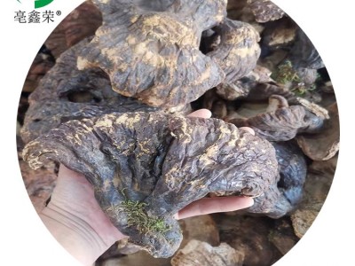 亳鑫荣松杉灵芝菌香浓郁长白山区 500g一斤山农一手货源赤芝通用图1