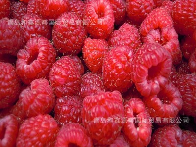 大宗批发 冷冻树莓 速冻树莓 冷冻树莓碎 速冻树莓碎图4