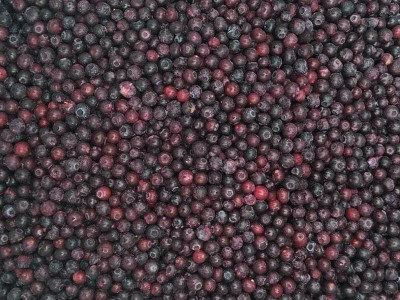 大宗批发 冷冻蓝莓 牛津牌冷冻野生蓝莓图3