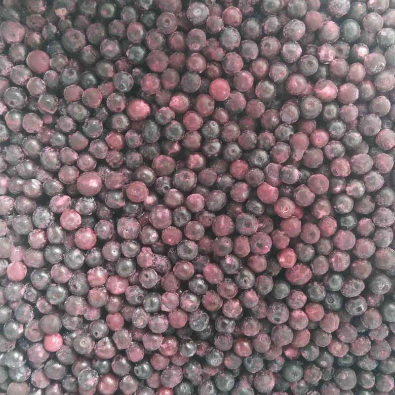 加拿大野生蓝莓1