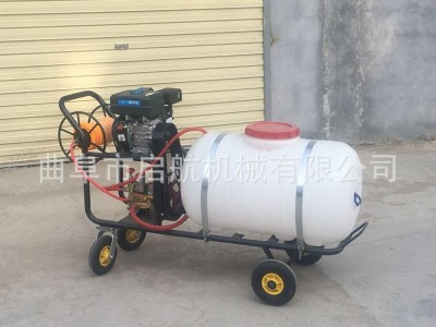 果树杀虫喷雾机 养殖场消毒杀虫防疫机 大棚打药机图2