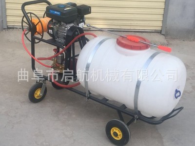 果树杀虫喷雾机 养殖场消毒杀虫防疫机 大棚打药机图4