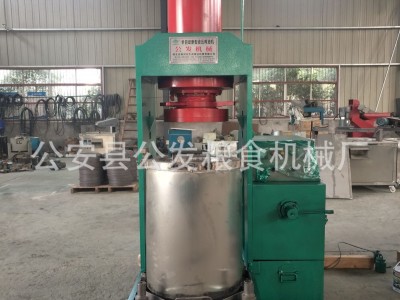 新型液压榨油机-立式液压榨油机 茶籽铁核桃液压榨油机 菜籽榨油图4