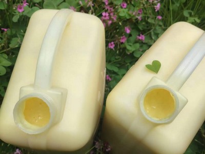 卓宇蜂王浆散装青海油菜蜂王浆蜂皇浆蜂乳批发零售正品6kg桶装图2