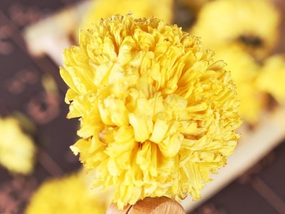 黄金菊花 黄贡菊 菊花茶泡水 贡菊 产地货源大货批发零售图3