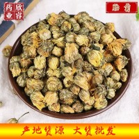 胎菊新货批发 桐乡头采胎菊 胎菊花杭白菊散装500g 现货供应