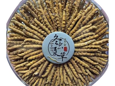 冬虫夏草批发 西藏那曲冬虫夏草 虫草批发中药材源头货源冻干虫草图5
